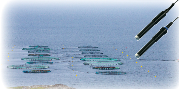 Balık Çiftliği Çözümleri